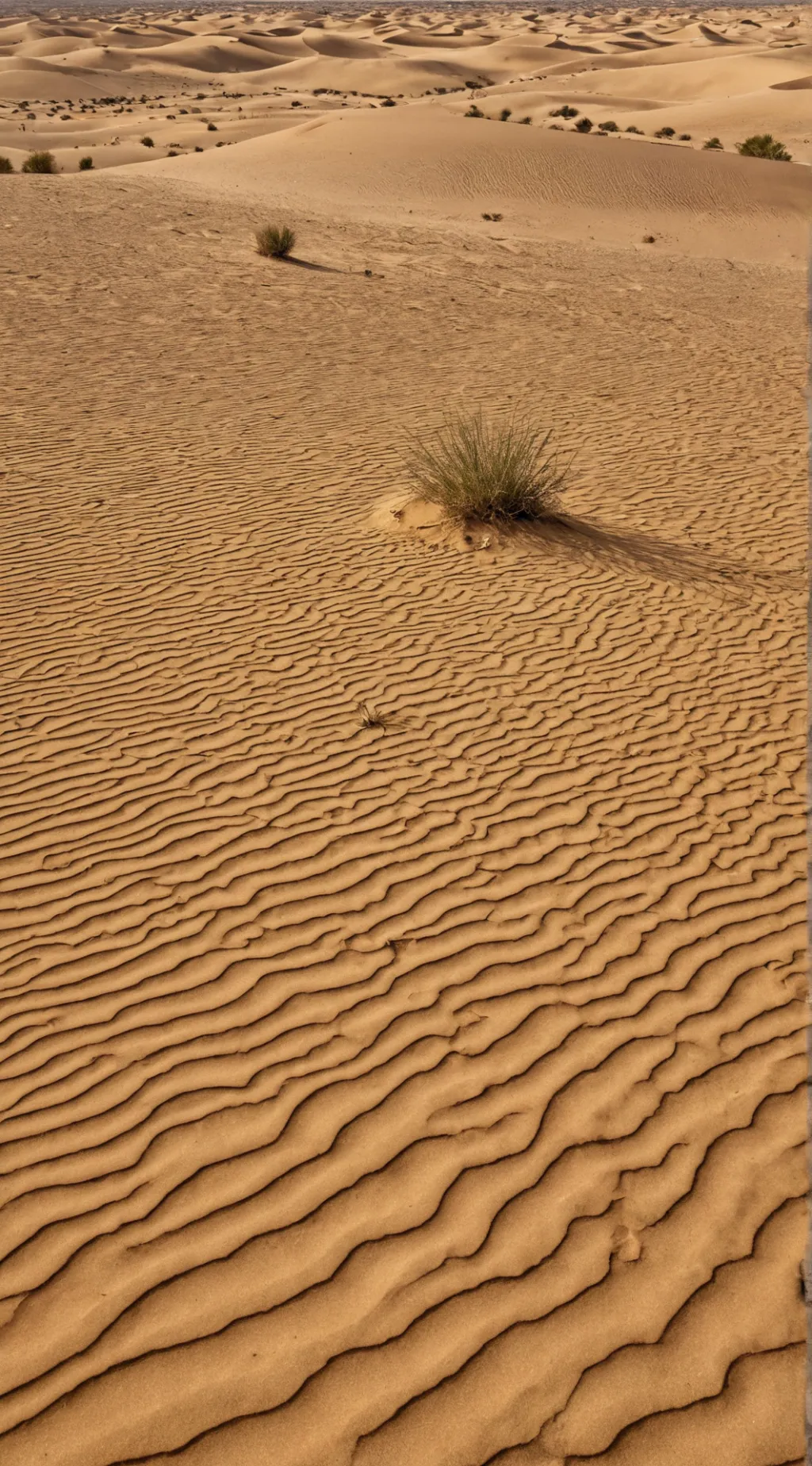 ai character: deserto  background