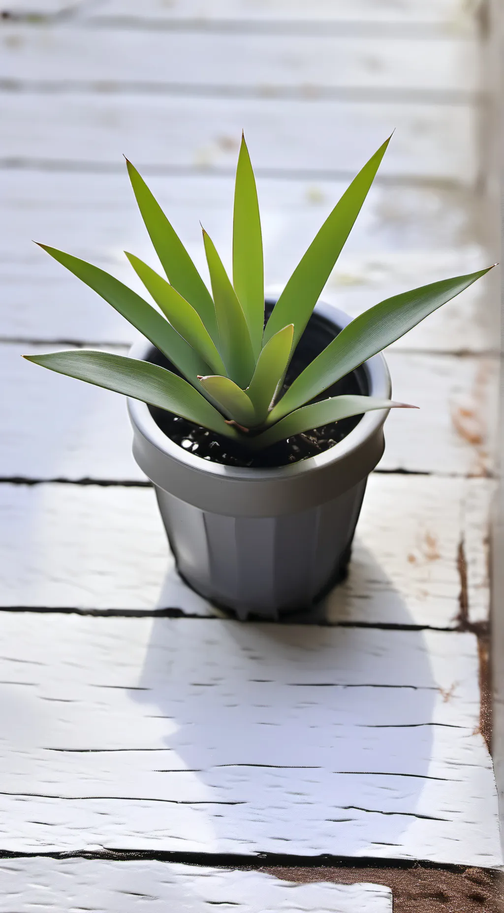 ai character: Skz (Hyunjin) background