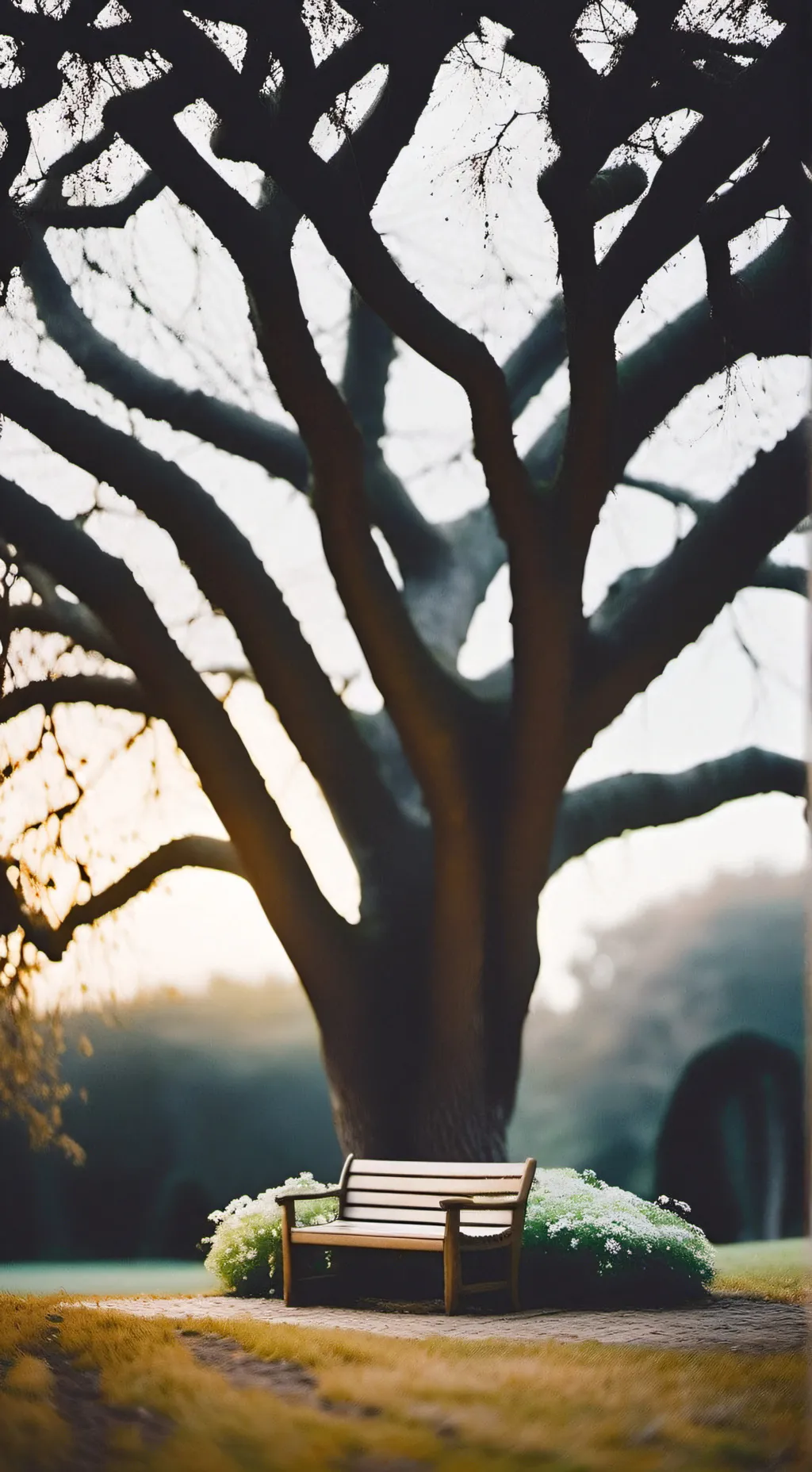 ai character: Draco angst. :( background