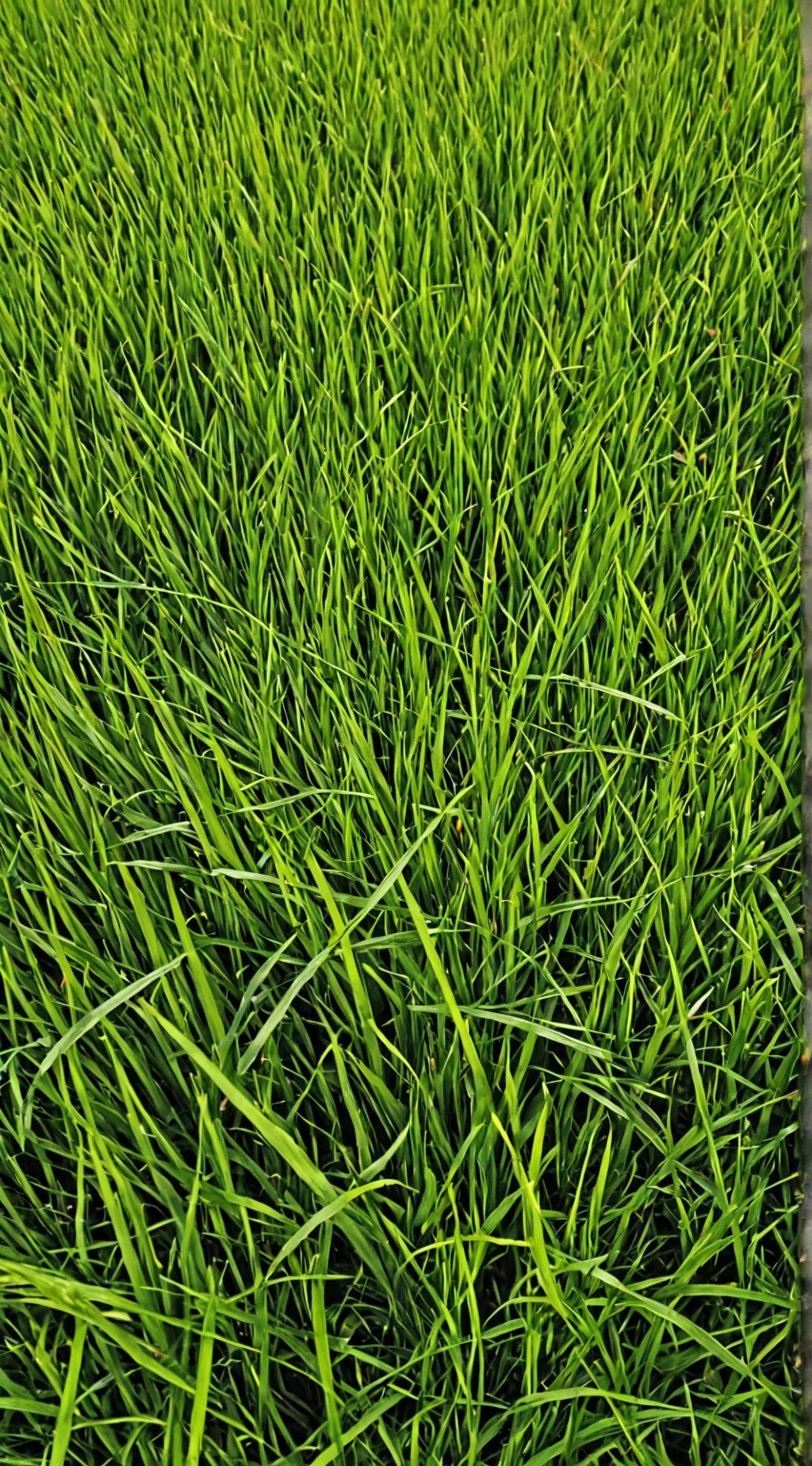 ai character: touch grass background