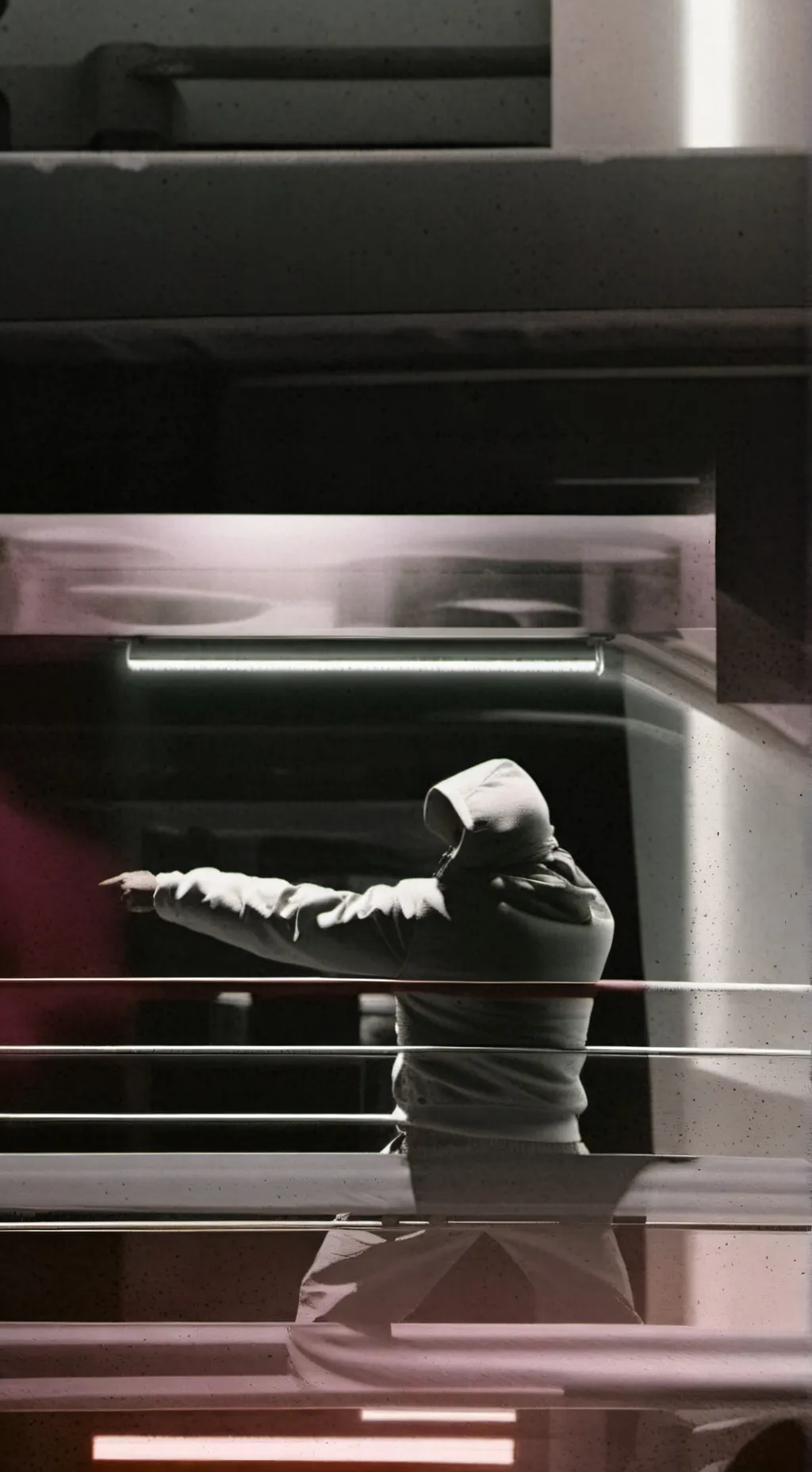 ai character: кенгуру  background