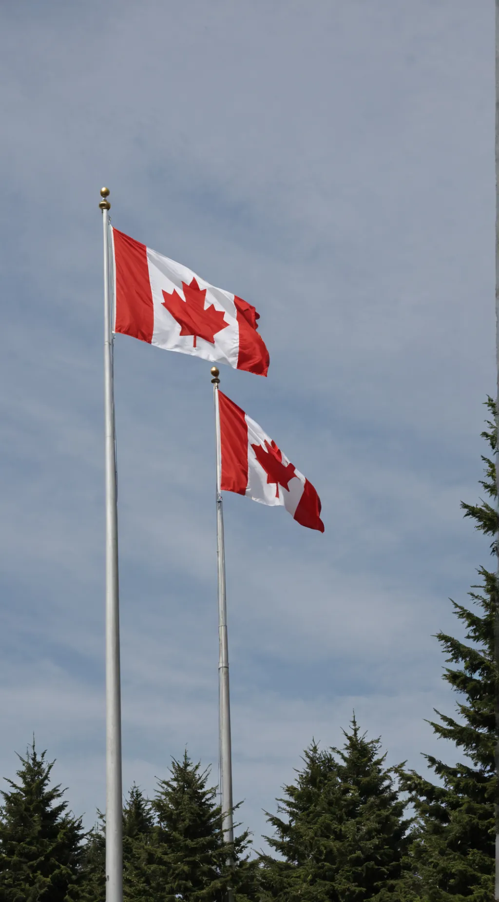 ai character: Canada background