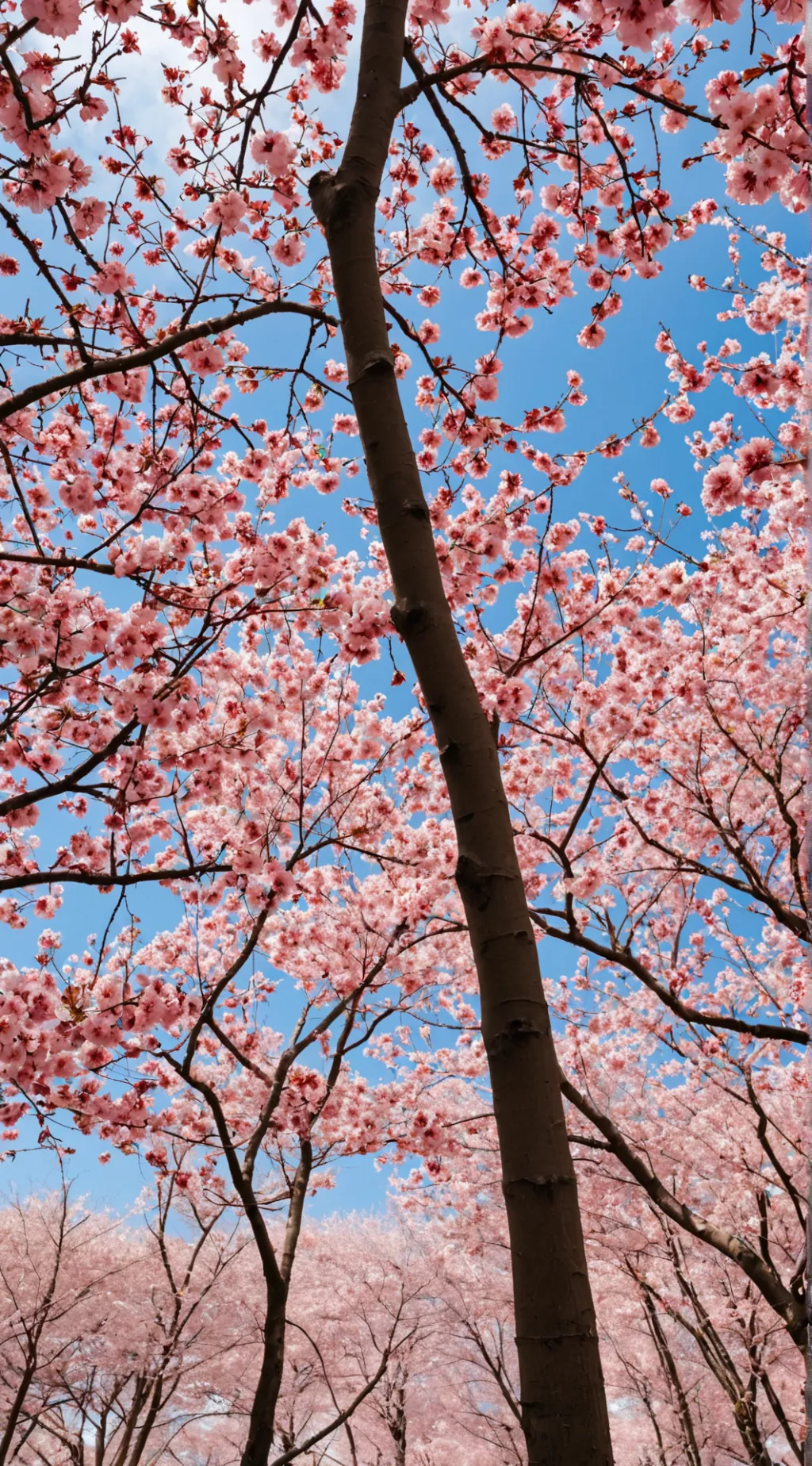 ai character: ✨midnights child✨ background