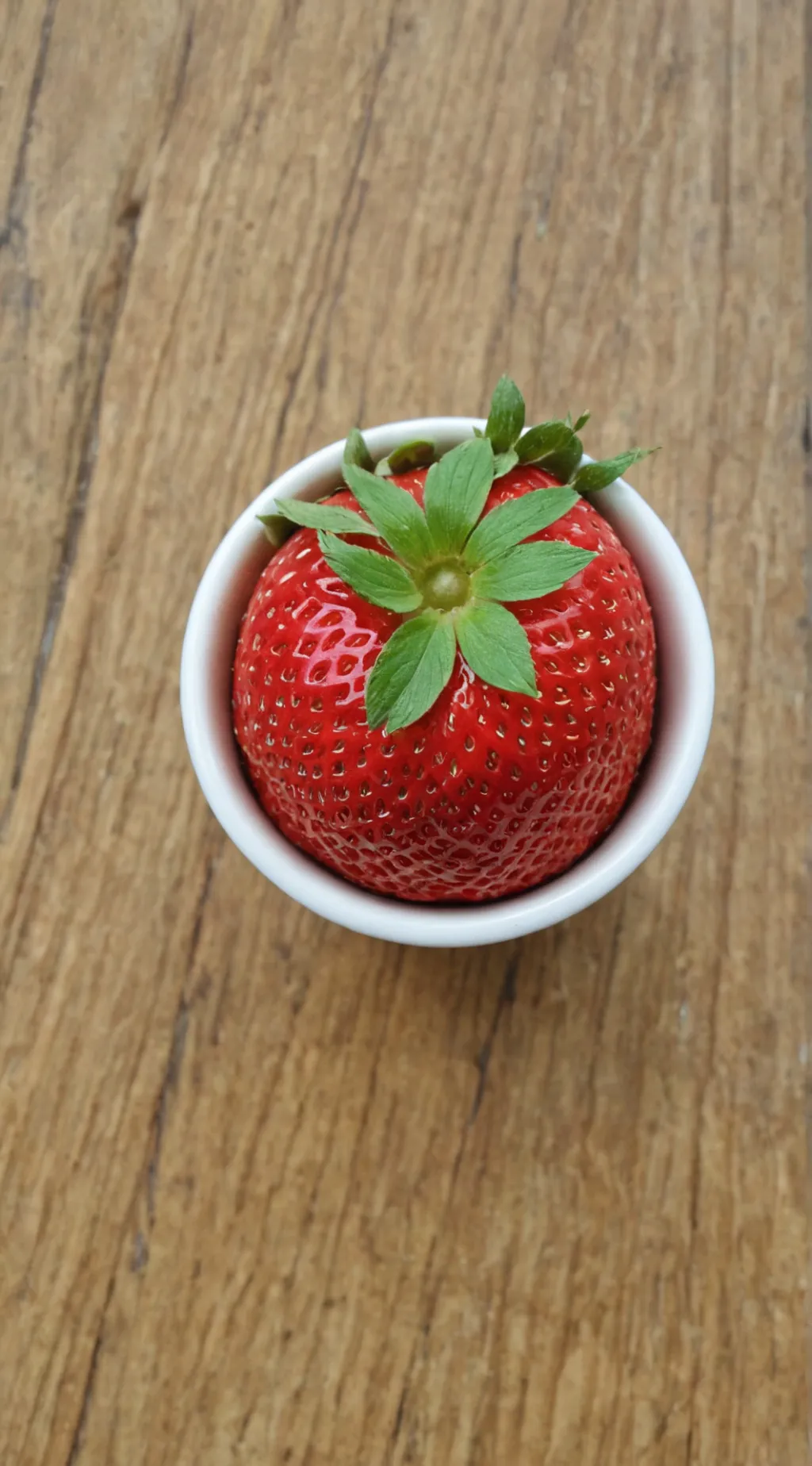 ai character: 𝑭𝒓𝒆𝒂𝒌𝒚 Sprout background