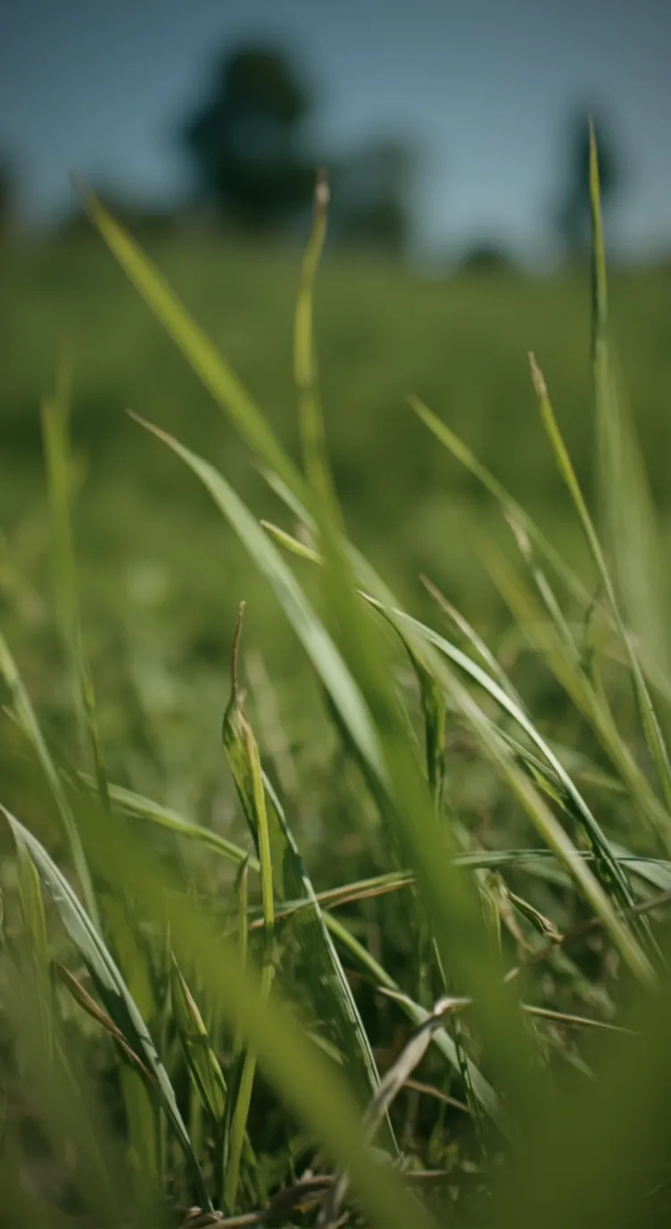 ai character: object shows10 background