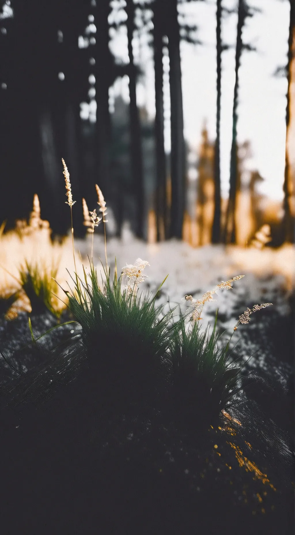 ai character: Twisted namer background