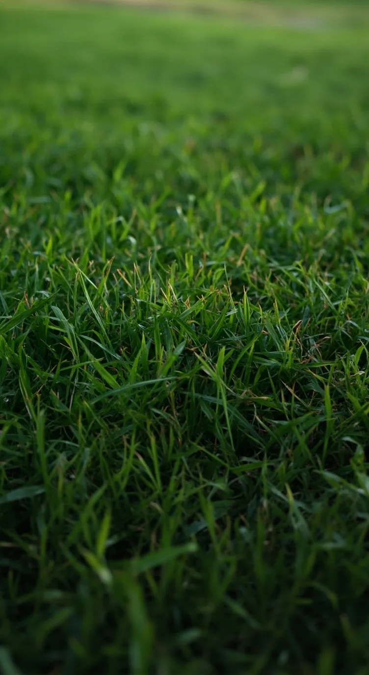 ai character: object shows13 background