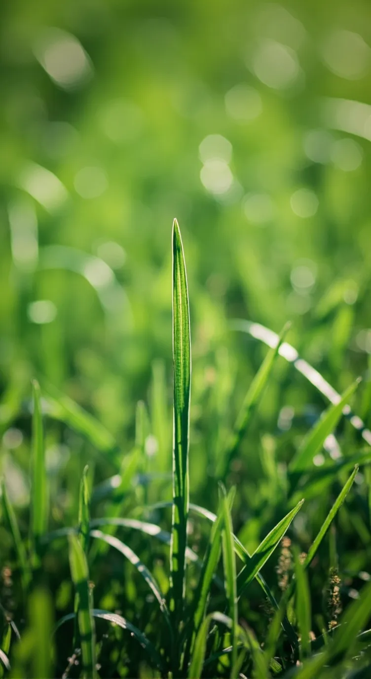 ai character: show again  background