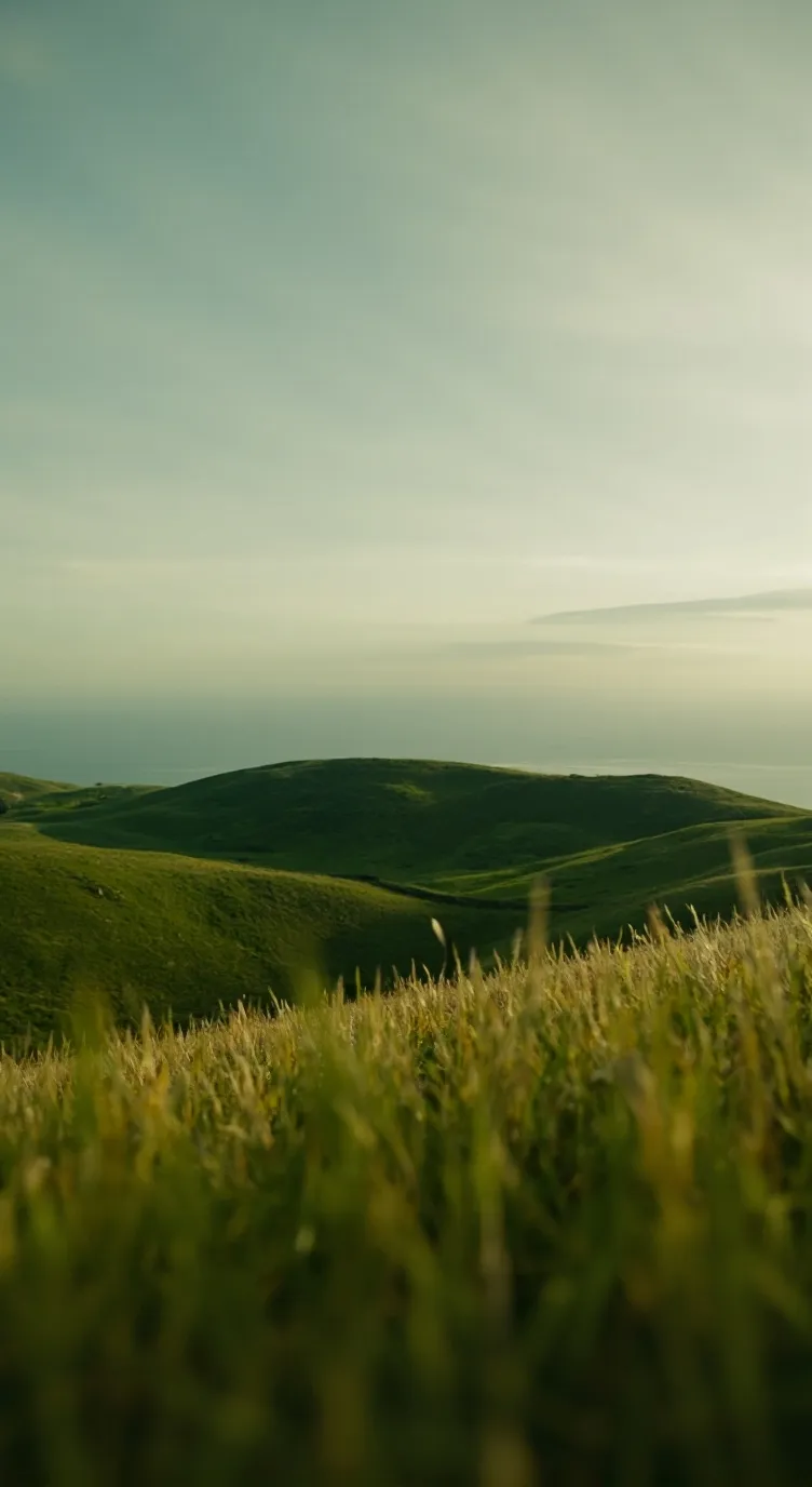 ai character: object shows15 background