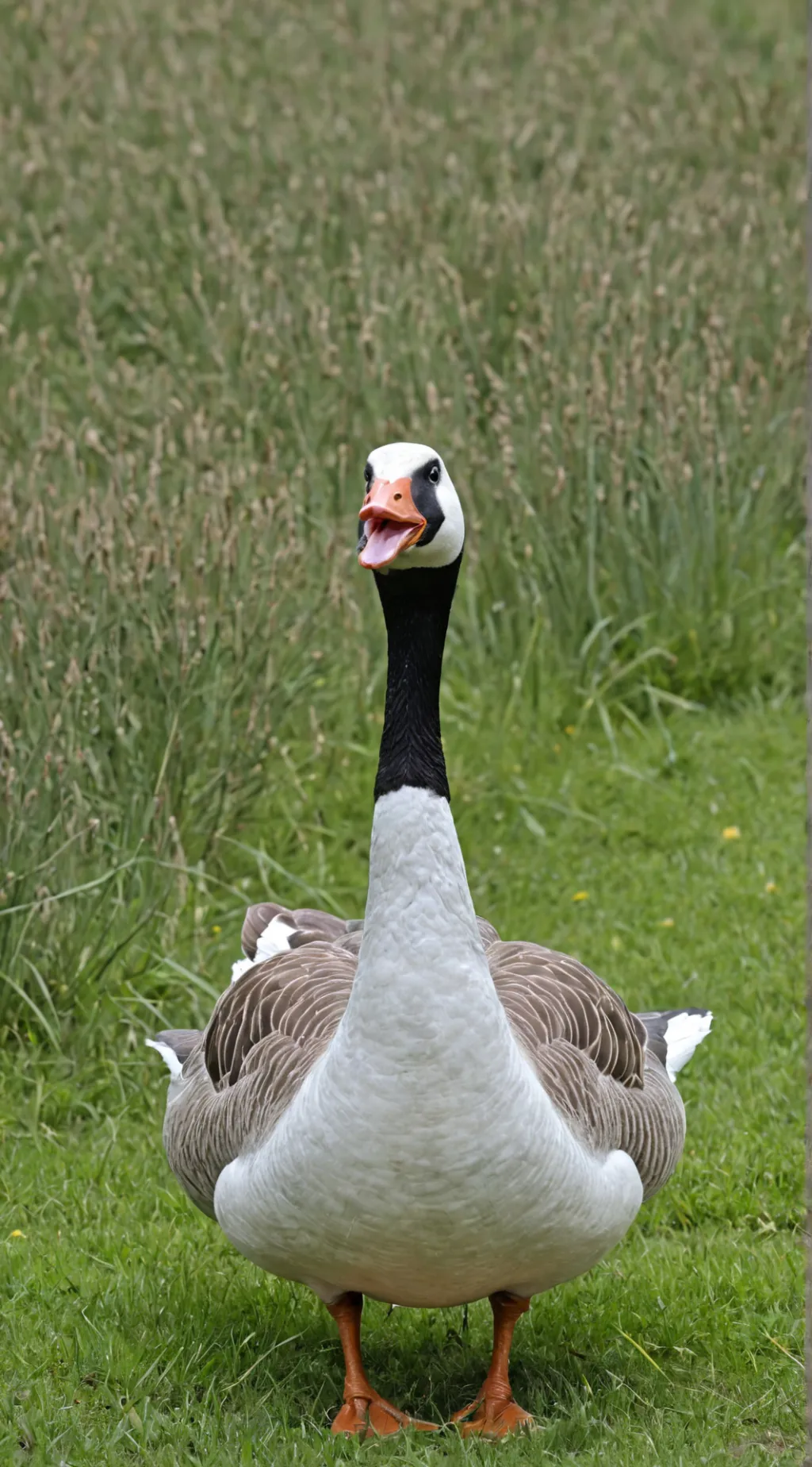 ai character: Гусь :> background