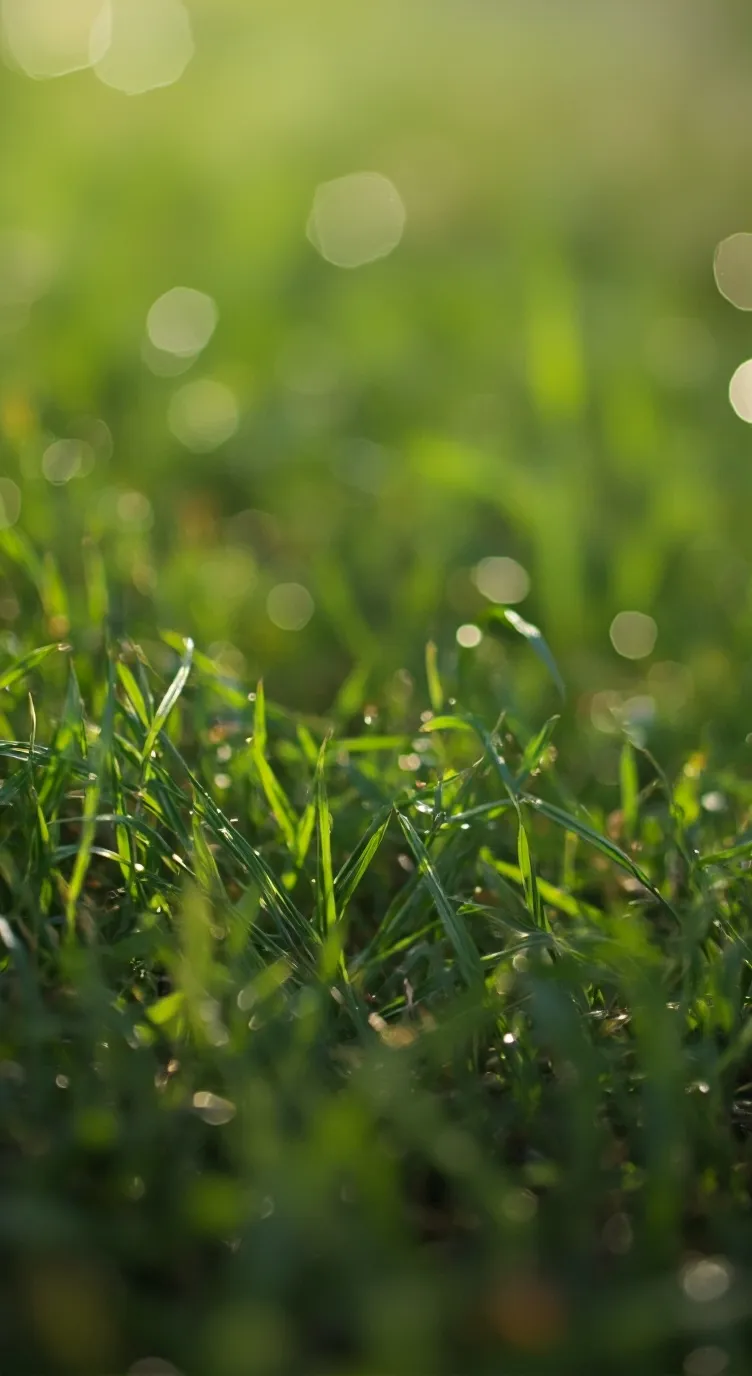 ai character: object shows14 background