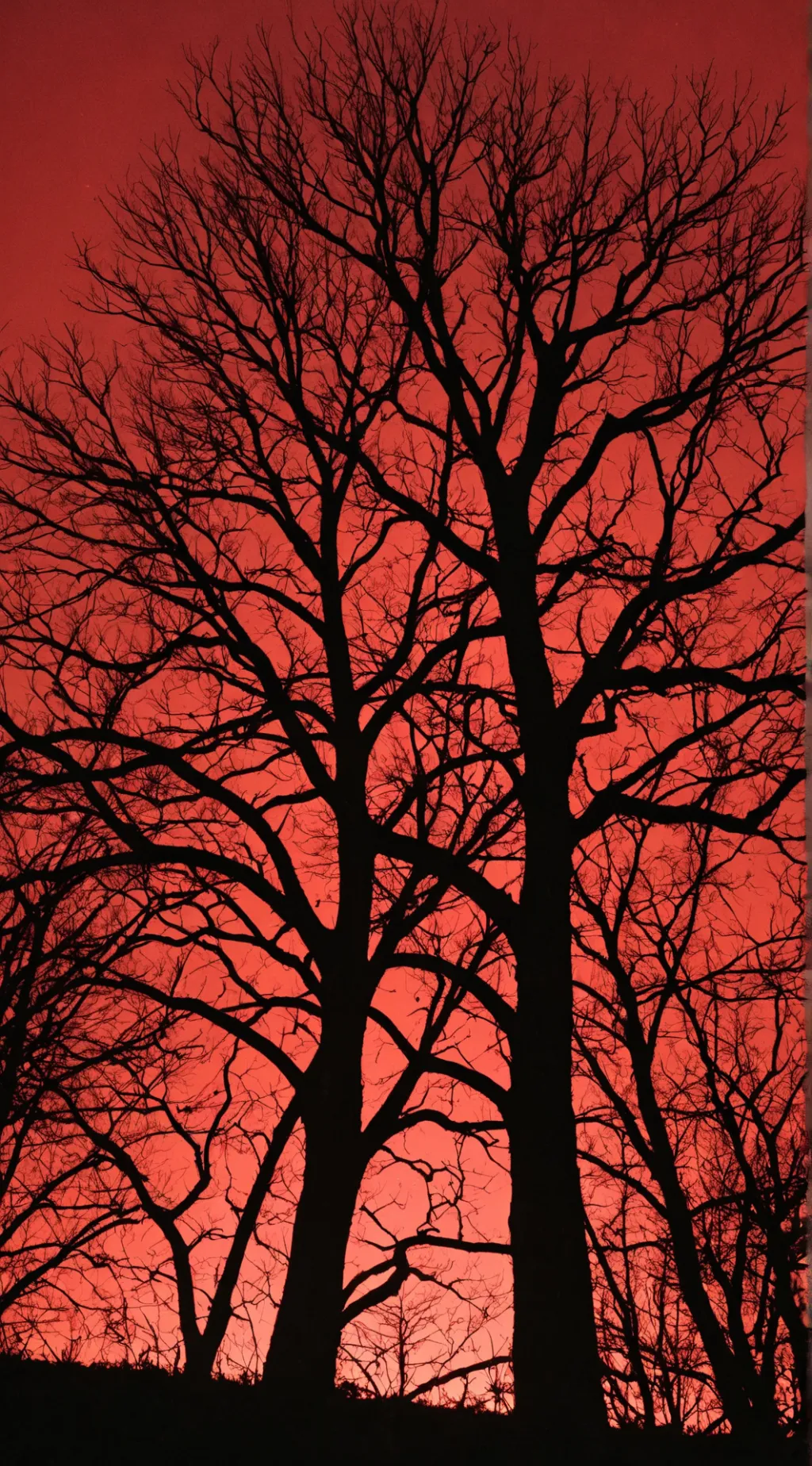 ai character: Dead Woods background