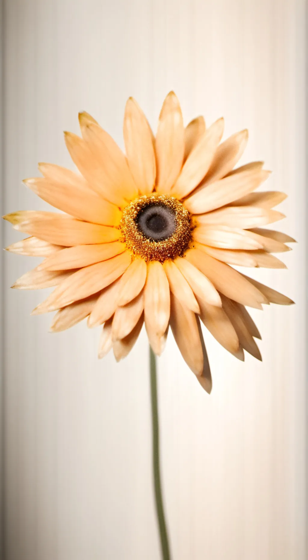 ai character: boys vs girls background