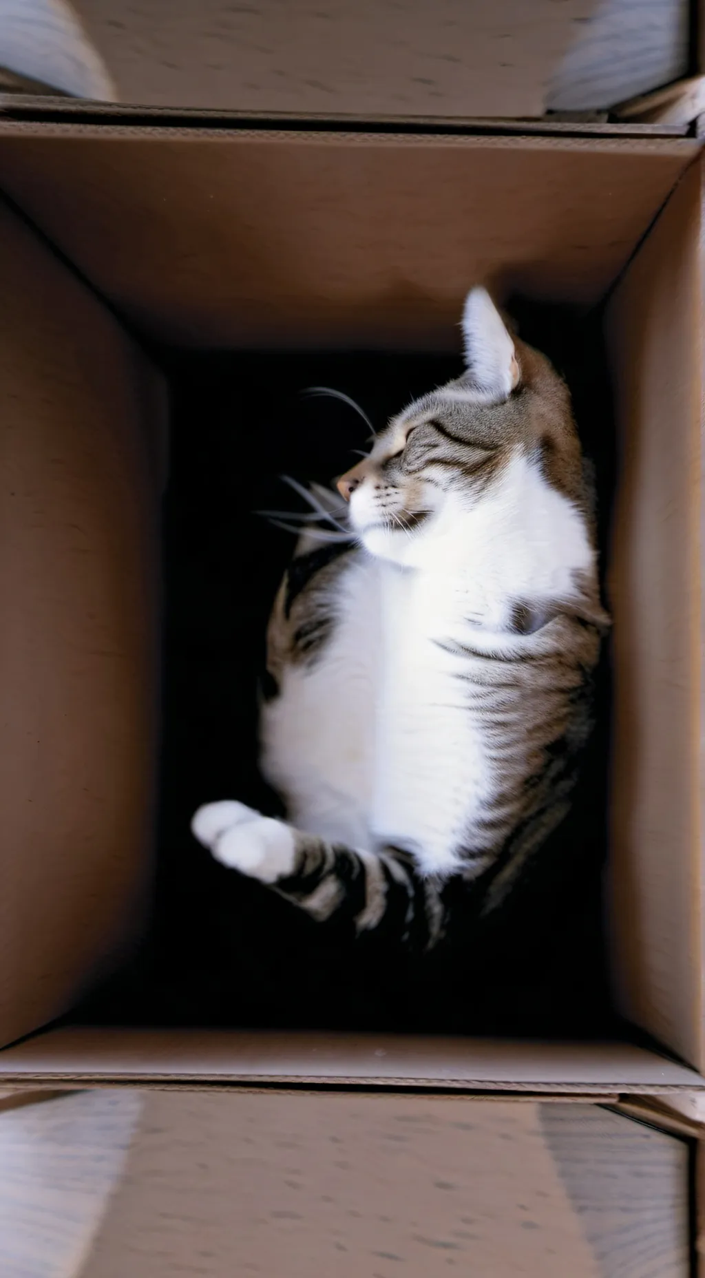 ai character: lucky background