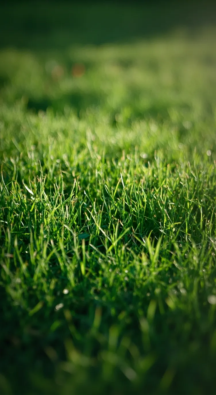 ai character: Grass✨💅 background