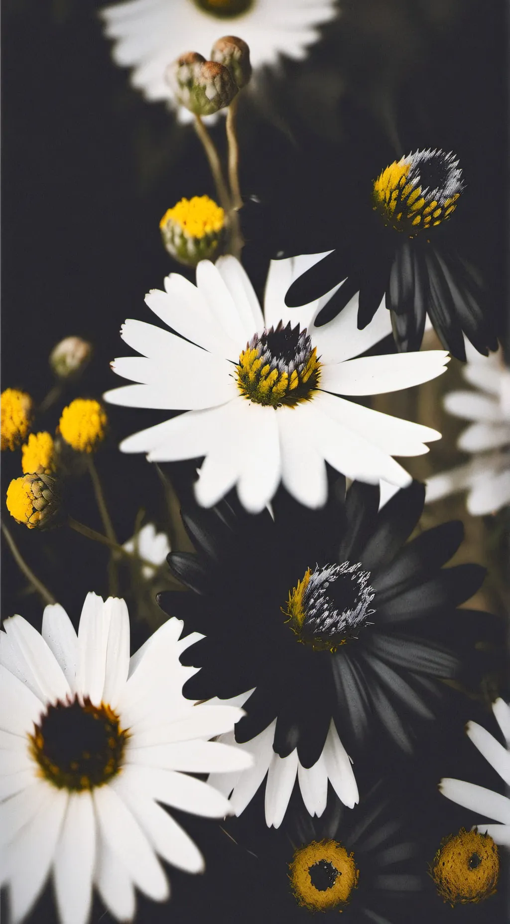 ai character: kny! background