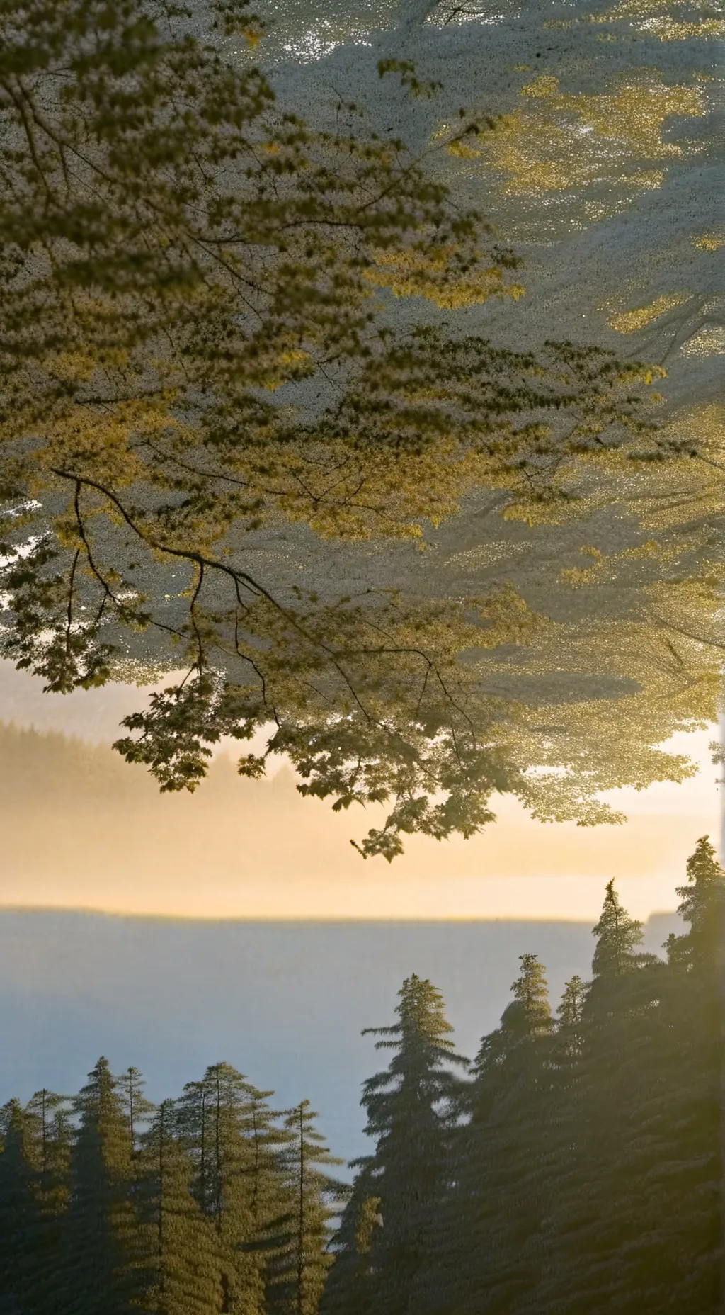 Talkie AI - Chat with Brooklyn 99