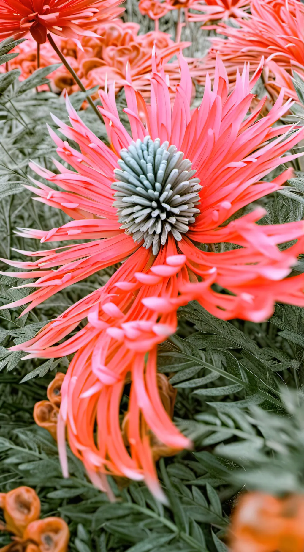 ai character: Dsmp Road trip  background