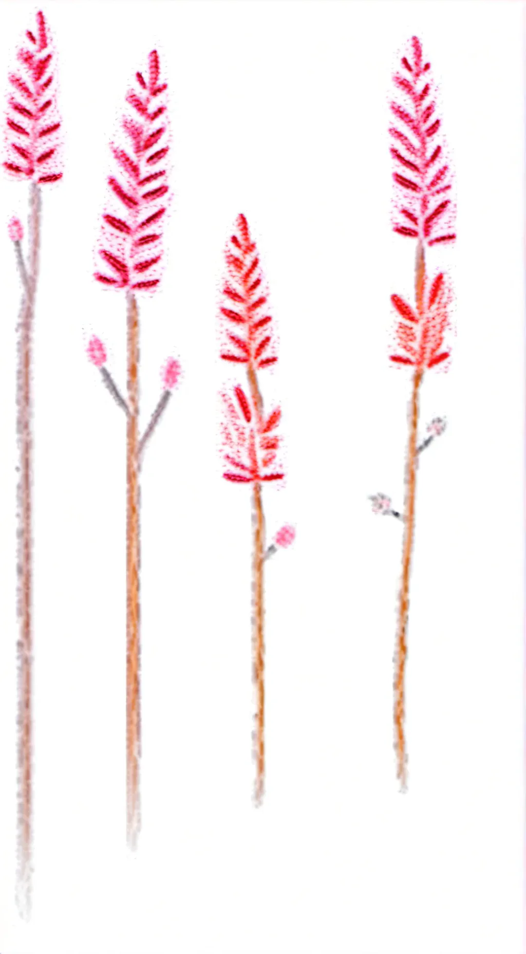 ai character: Are you a girl? background