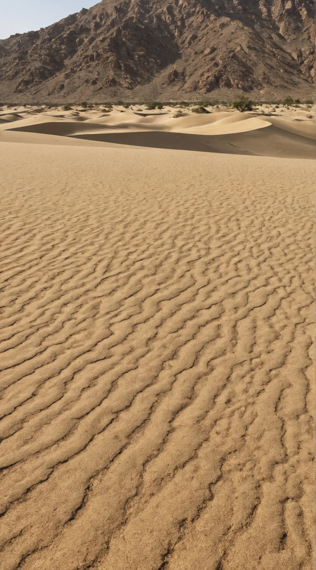 ai character: Jimmy  background