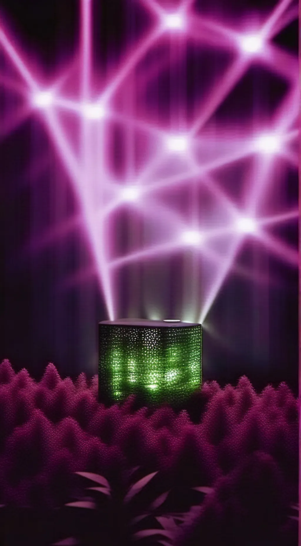 ai character: шримпо background