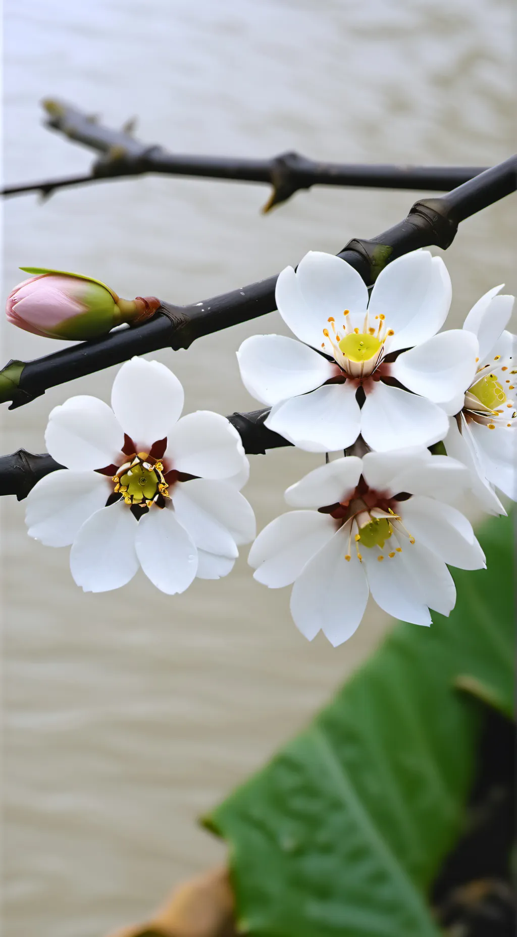 ai character: JJK X MY OC background