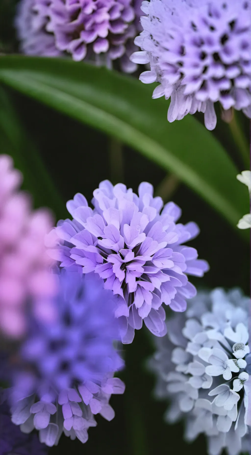 ai character: Argo x seteven background