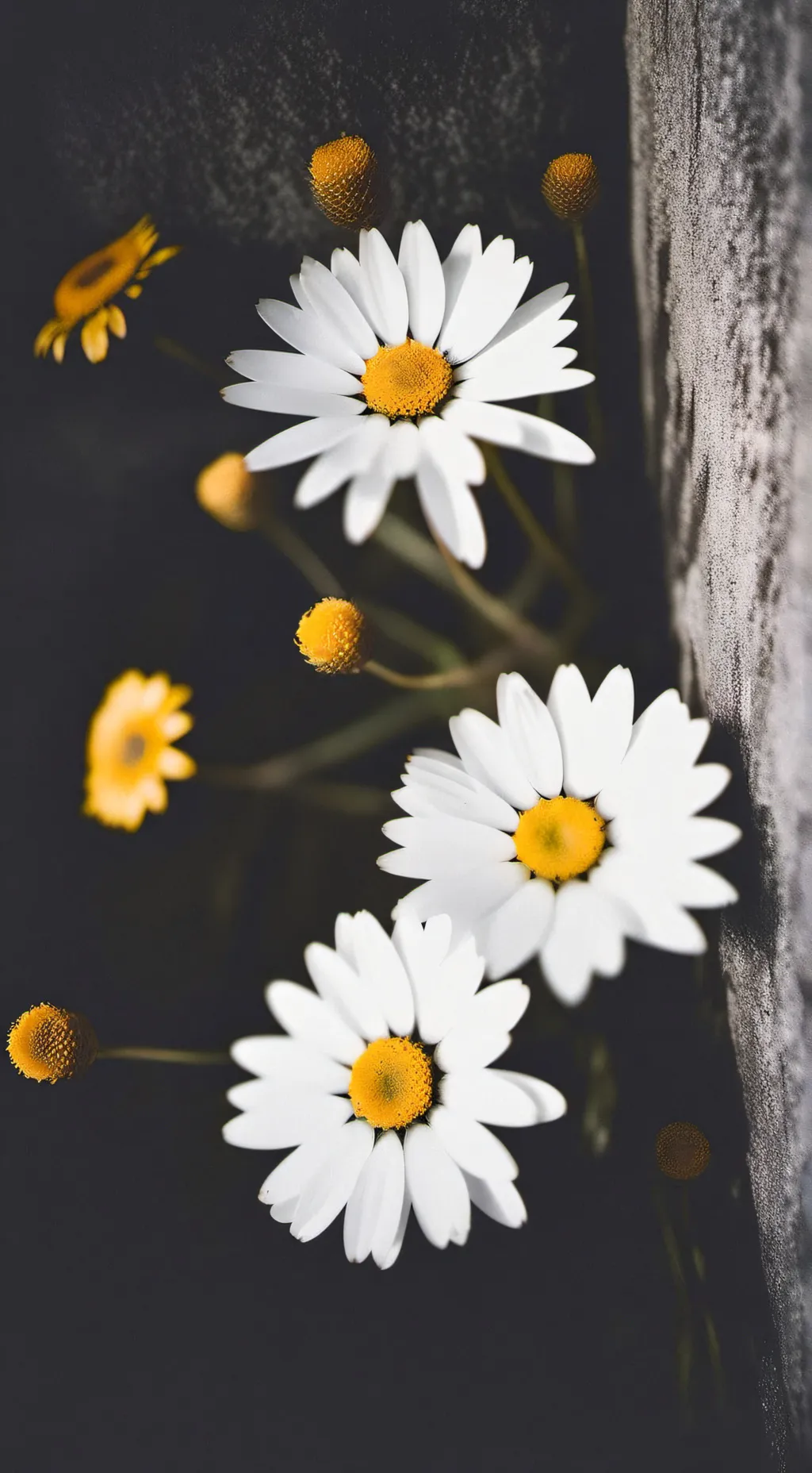 ai character: bakudeku background