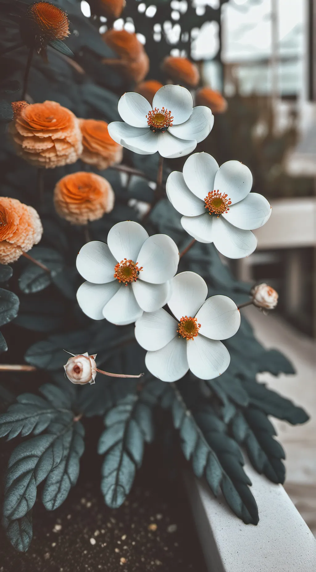 ai character: COD - cos background