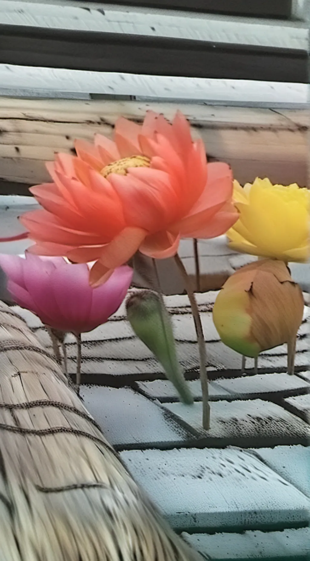 ai character: stray kids background