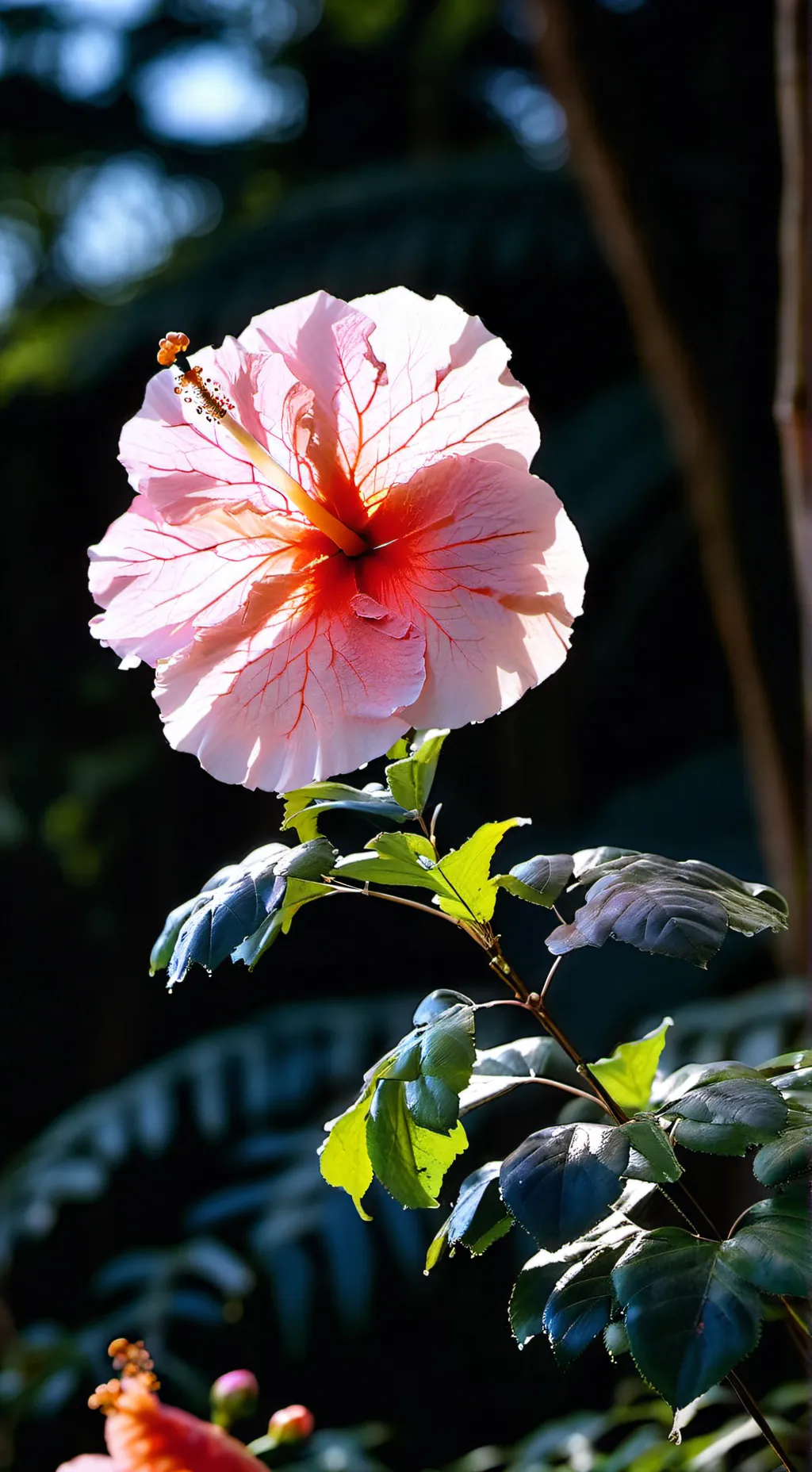 ai character: 🌺°Ace+Marco°🌺 background