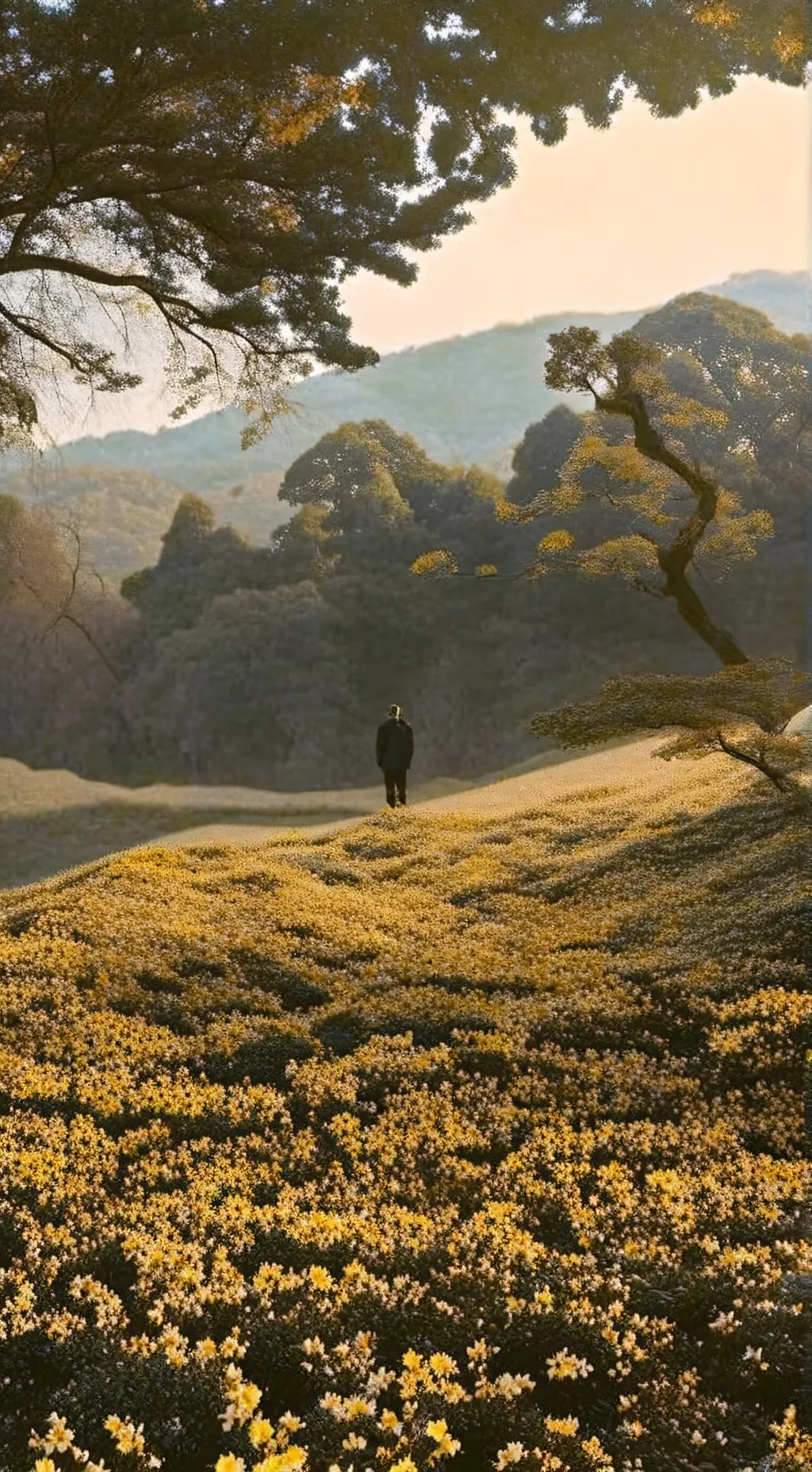 ai character: SKZ kidnapping background