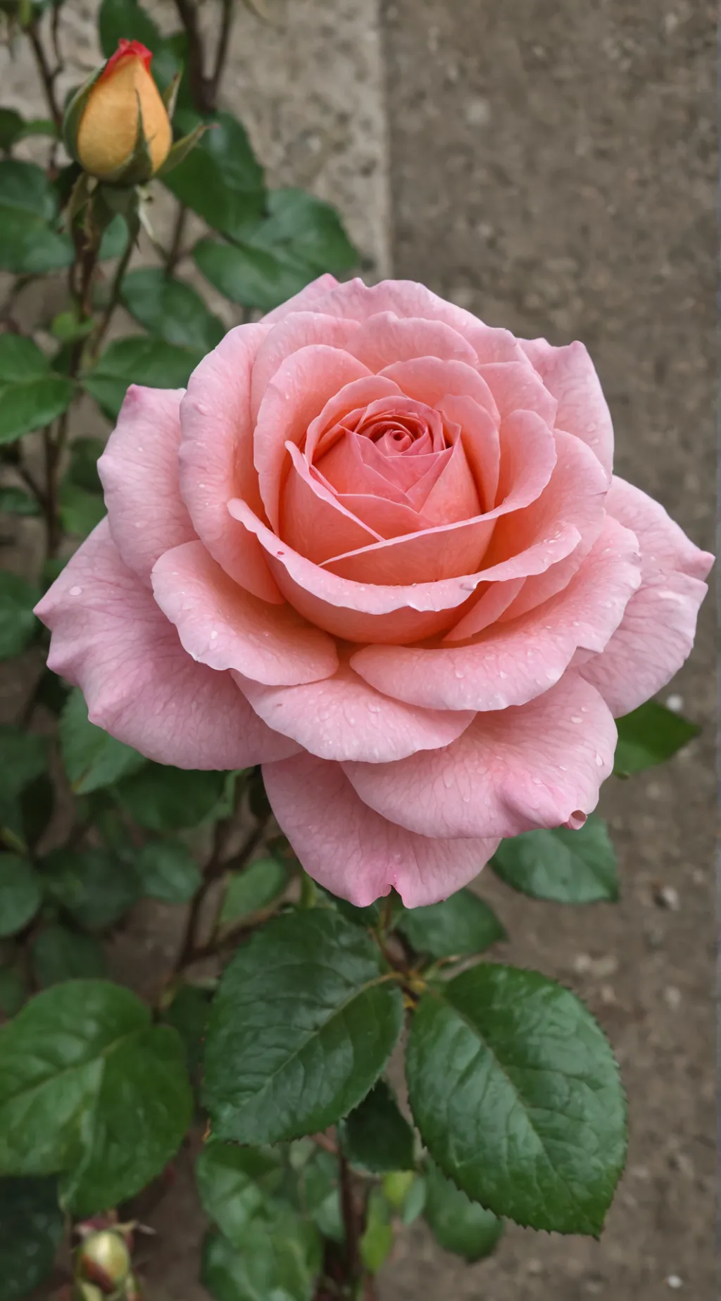 ai character: -Allen- background