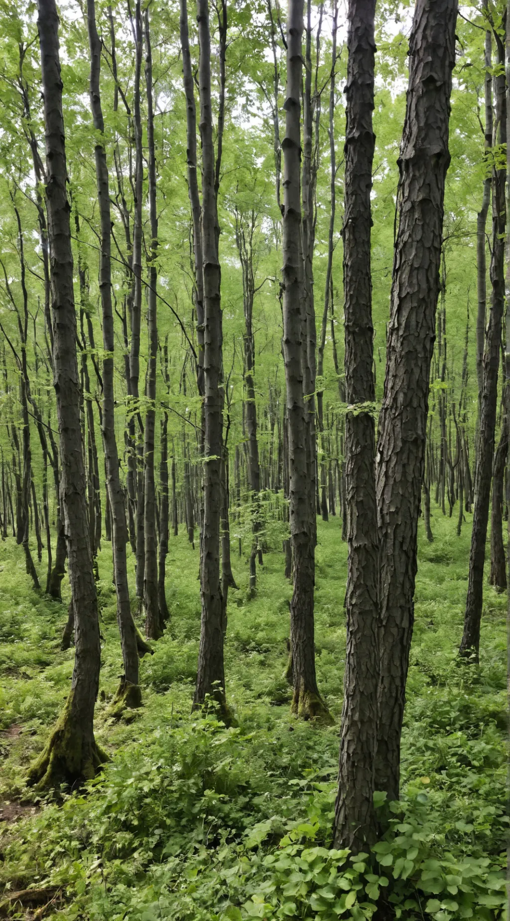 ai character: Джейсон  background