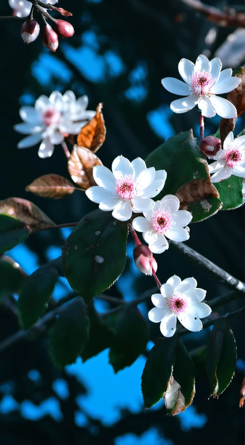 ai character: Ella background