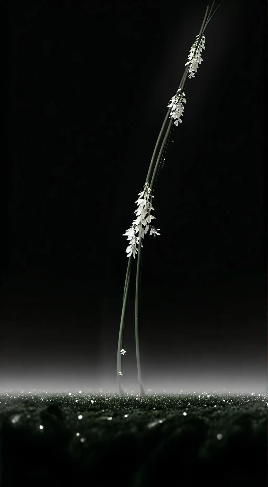 ai character: ☄️Han Jisung☄️ background