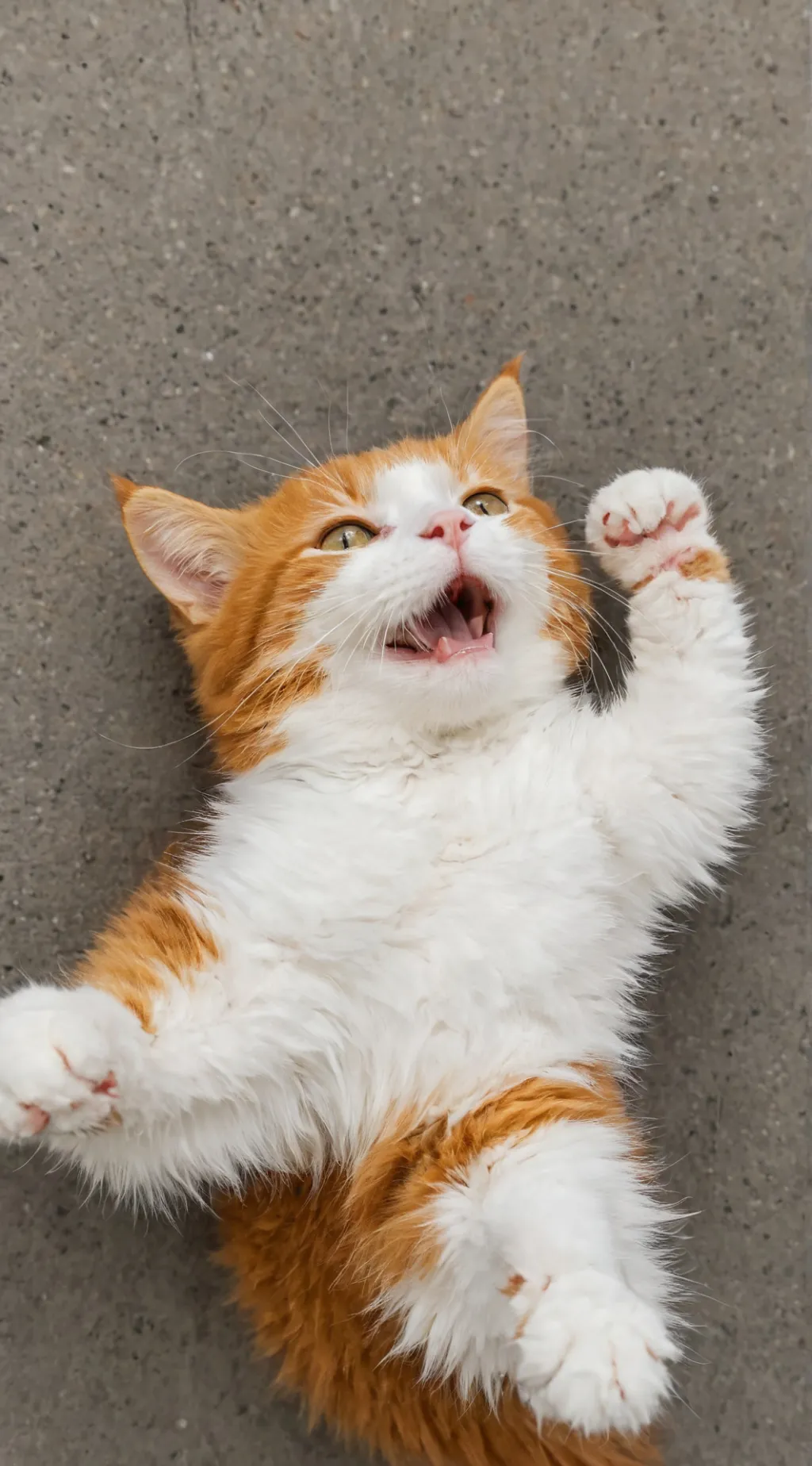 ai character: kitty background