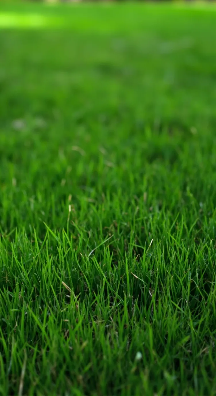 ai character: I'll roast u background