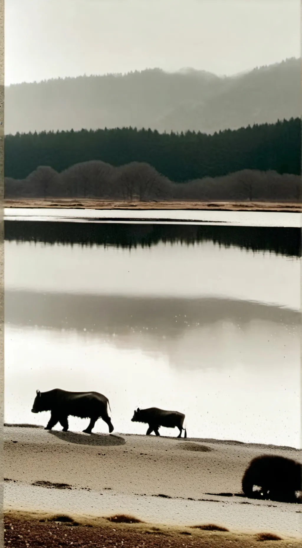 ai character: Melodie background