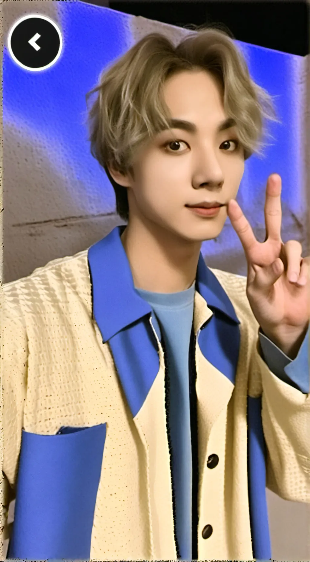 ai character: ʝυηgкσσк  background