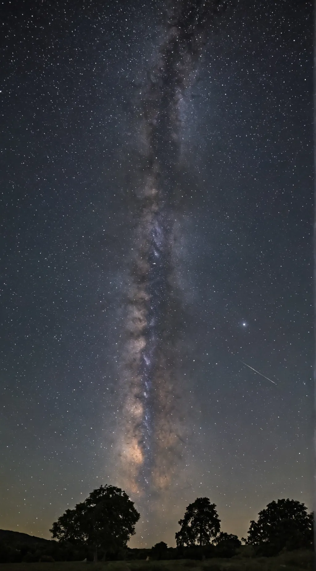 ai character: OIIAIU cat background