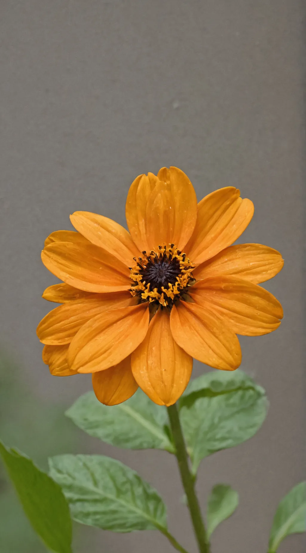 ai character: pick me sc background