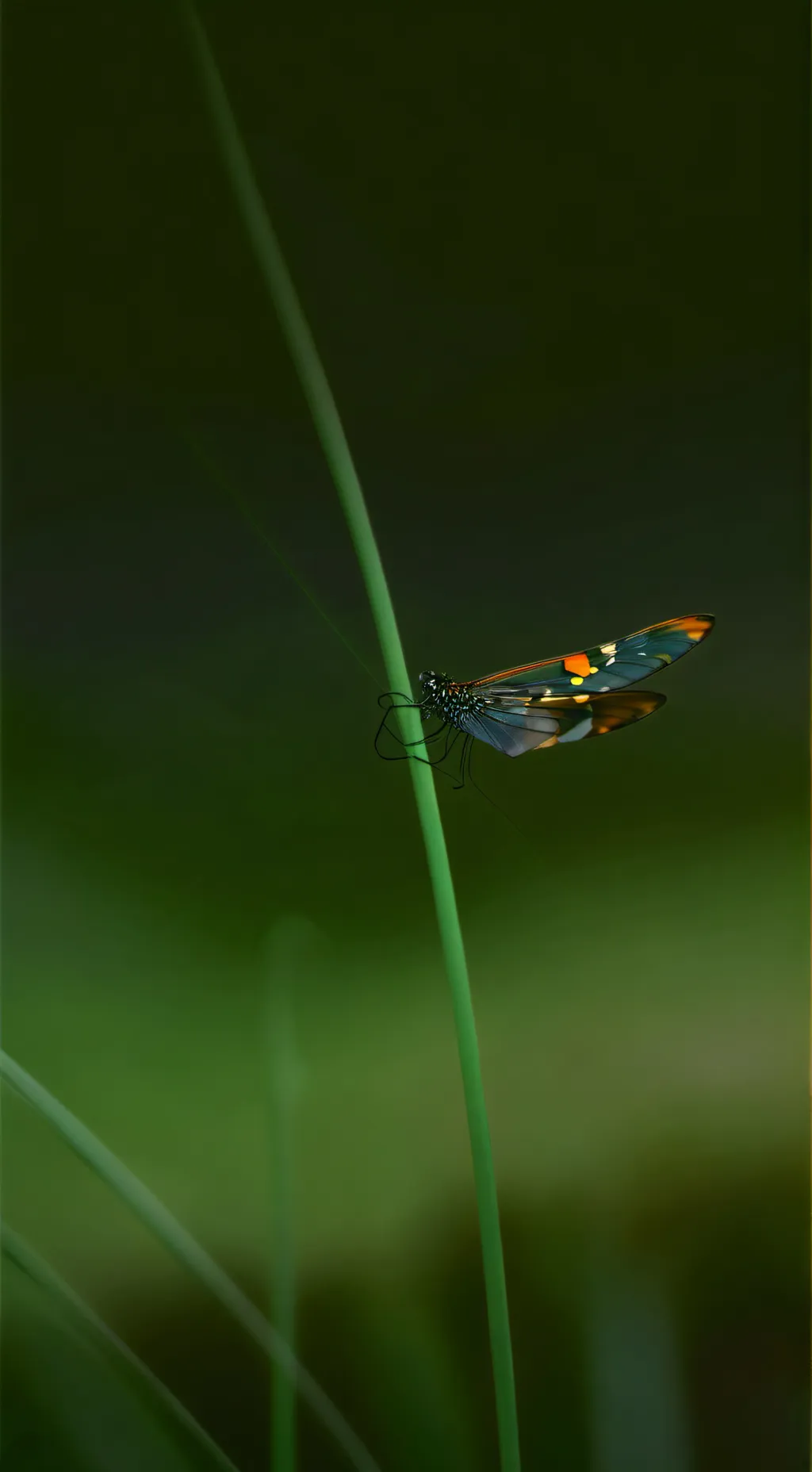 ai character: ) (/*★youuuu❤ background