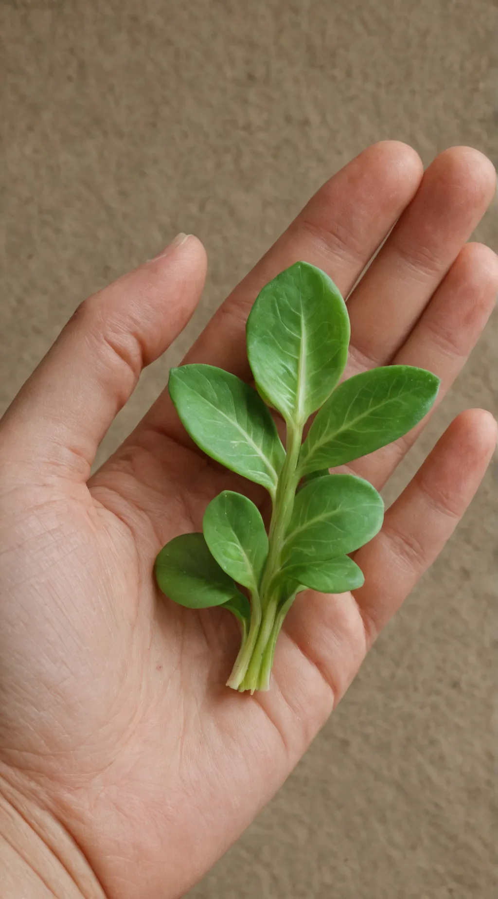 ai character: Baby sprout background