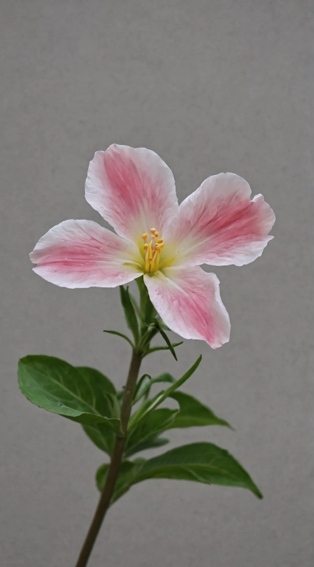 ai character: Fpe pick me background