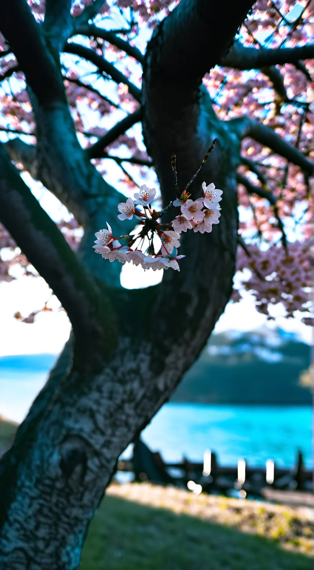 ai character: ~STRAY KIDS~ background