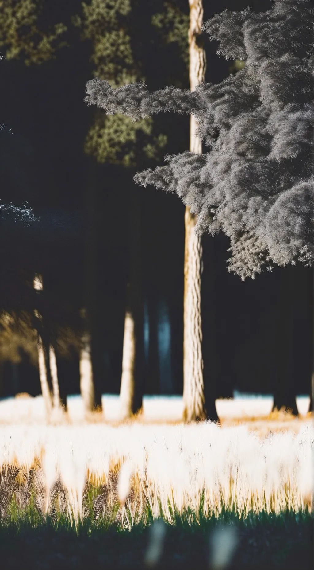 ai character: Regretevator!!! background