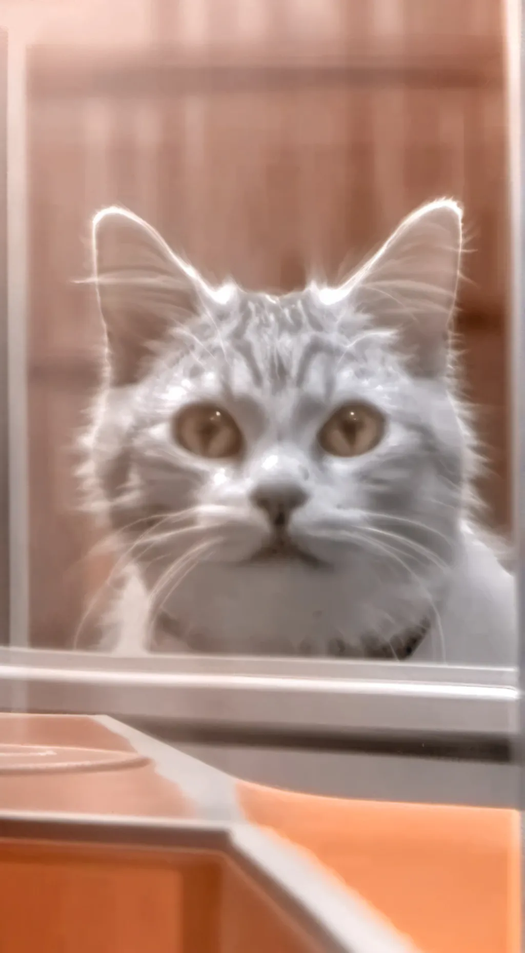 ai character: DW X CRK!!!   background