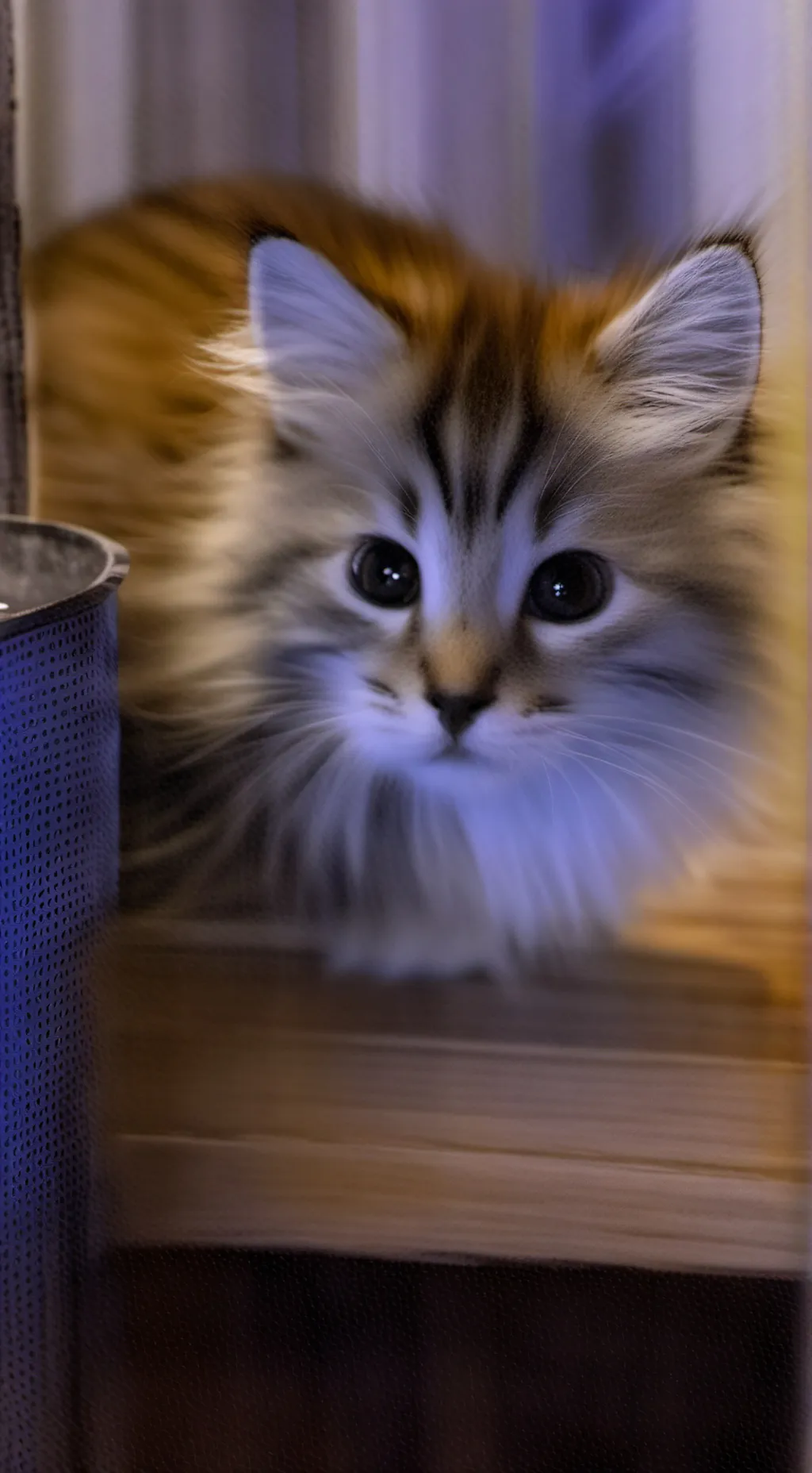 ai character: friends  background