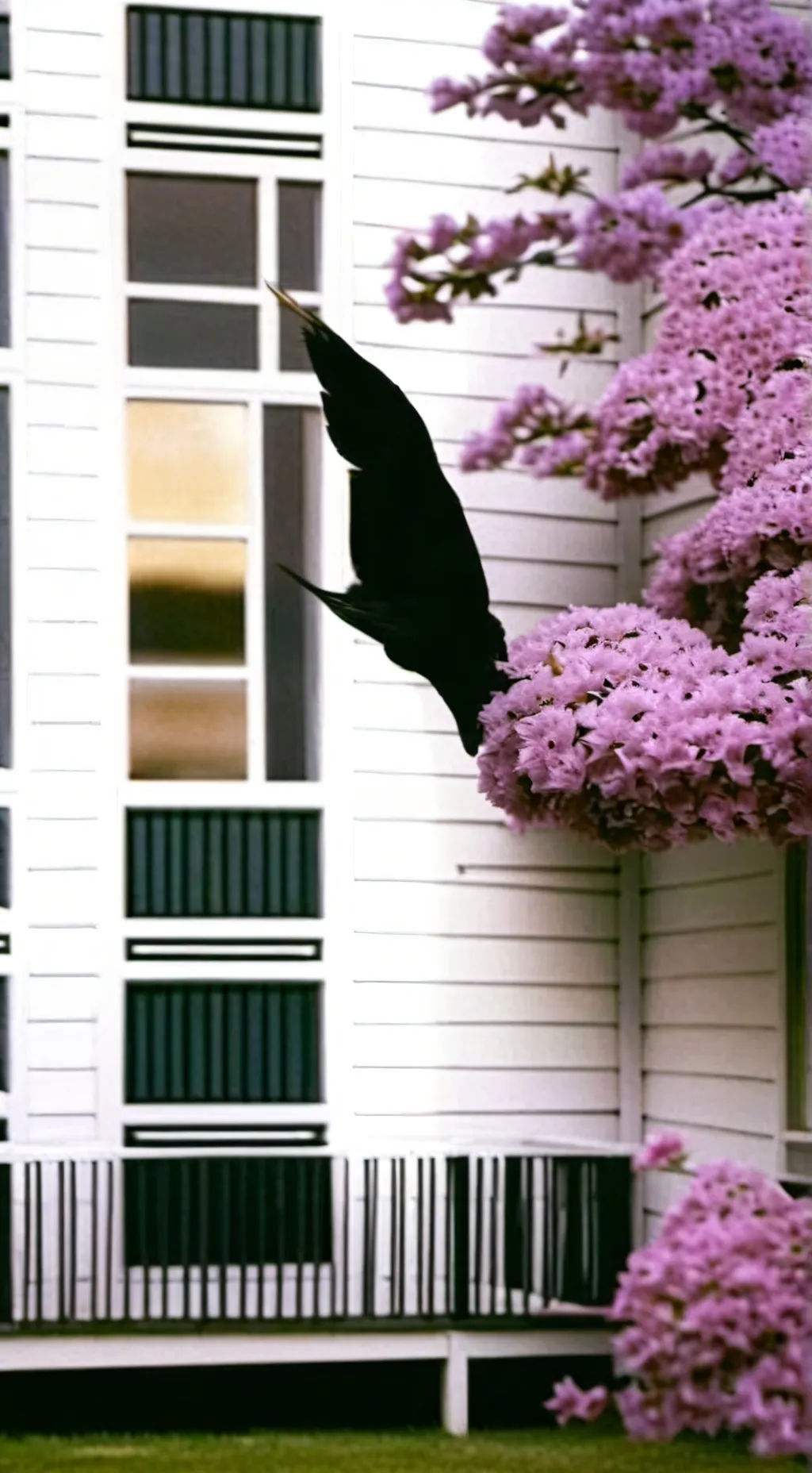 ai character: Proached John Doe background